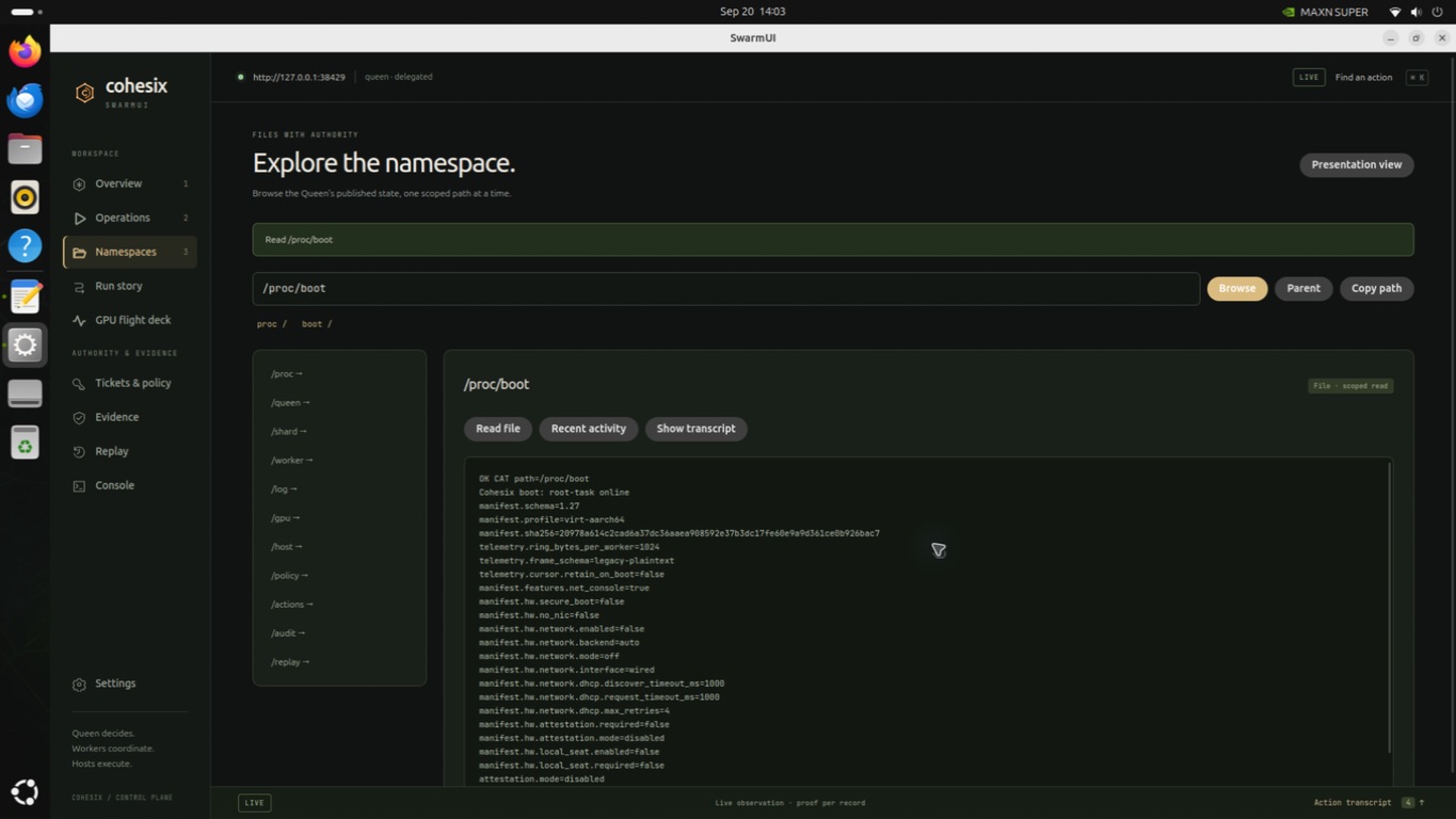 SwarmUI running natively on the Jetson Linux desktop
